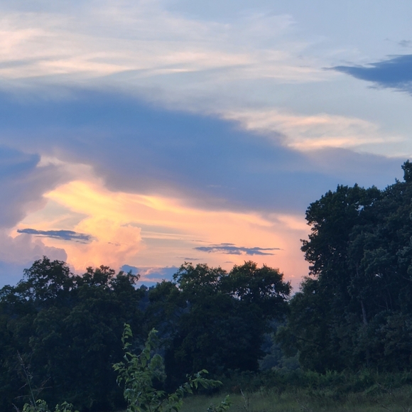 Meet your Posher - Picture 3 of 3